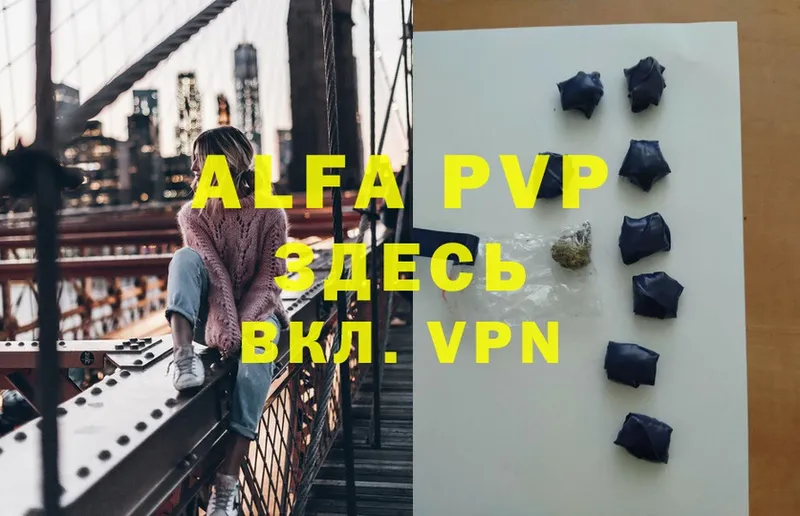 A-PVP СК КРИС  Ершов 